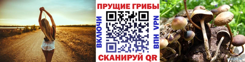 Галлюциногенные грибы мухоморы Киселёвск