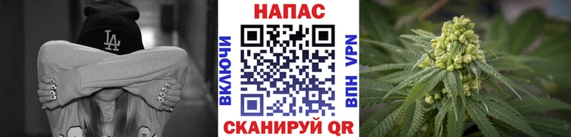 Марихуана индика  где продают   маркетплейс состав  Киселёвск 